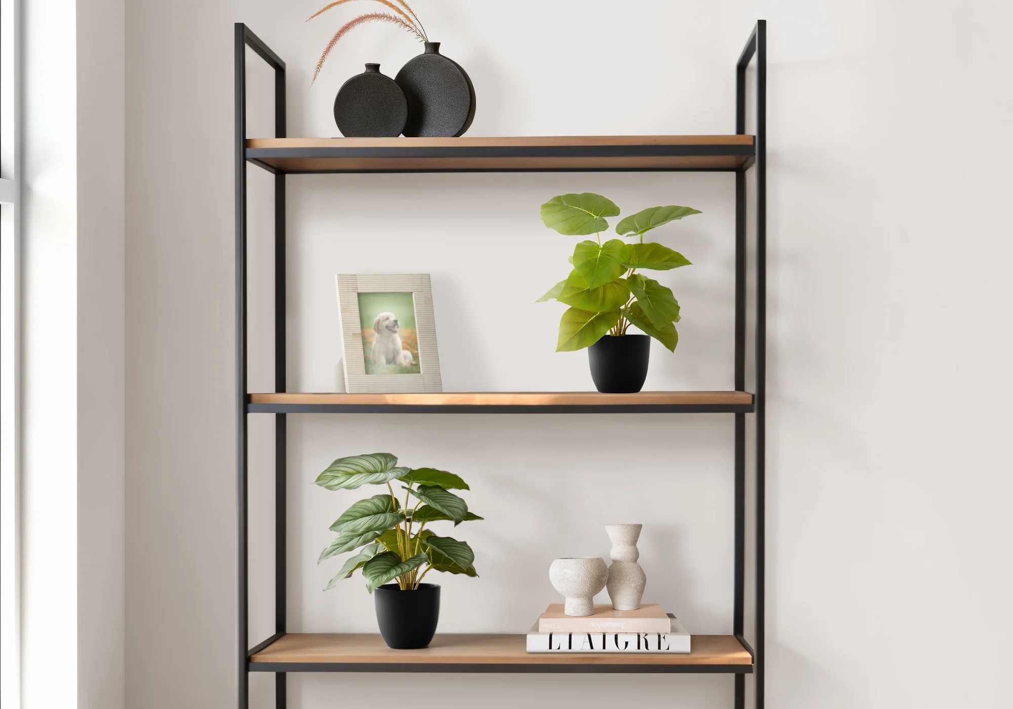 13" Epipremnum Plant With 4" Black Pot - Green - Set Of Two - Image 2