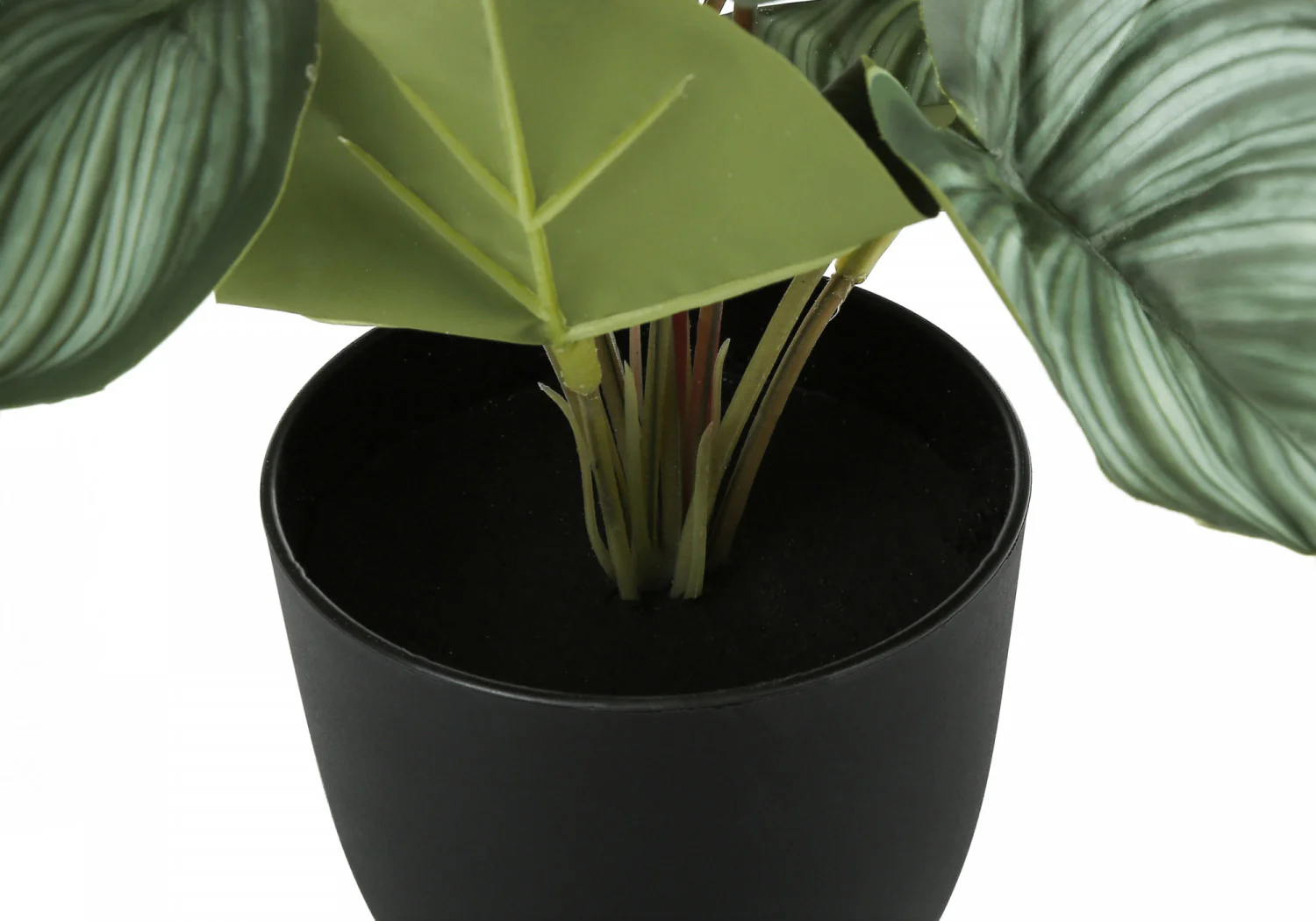 13" Epipremnum Plant With 4" Black Pot - Green - Set Of Two - Image 4