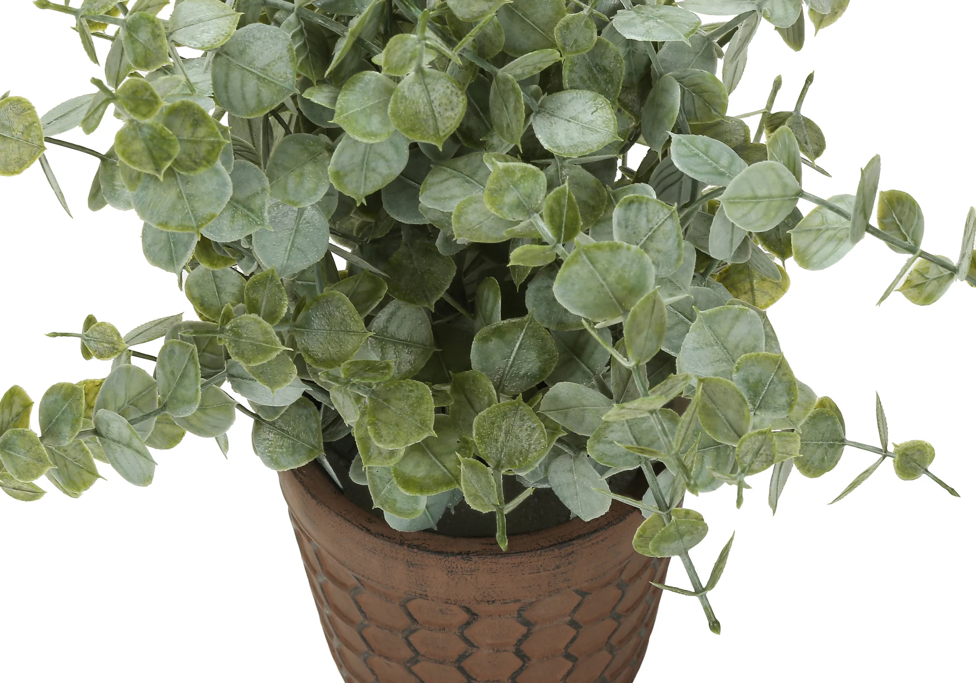 13" Eucalyptus and Grass Plants with 5" Brown Pot - Green - Set of Two - Image 3