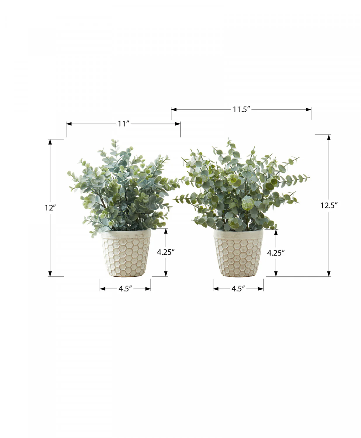 13" Eucalyptus Grass Plant With 4" White Pot - Green - Set of Two - Image 3