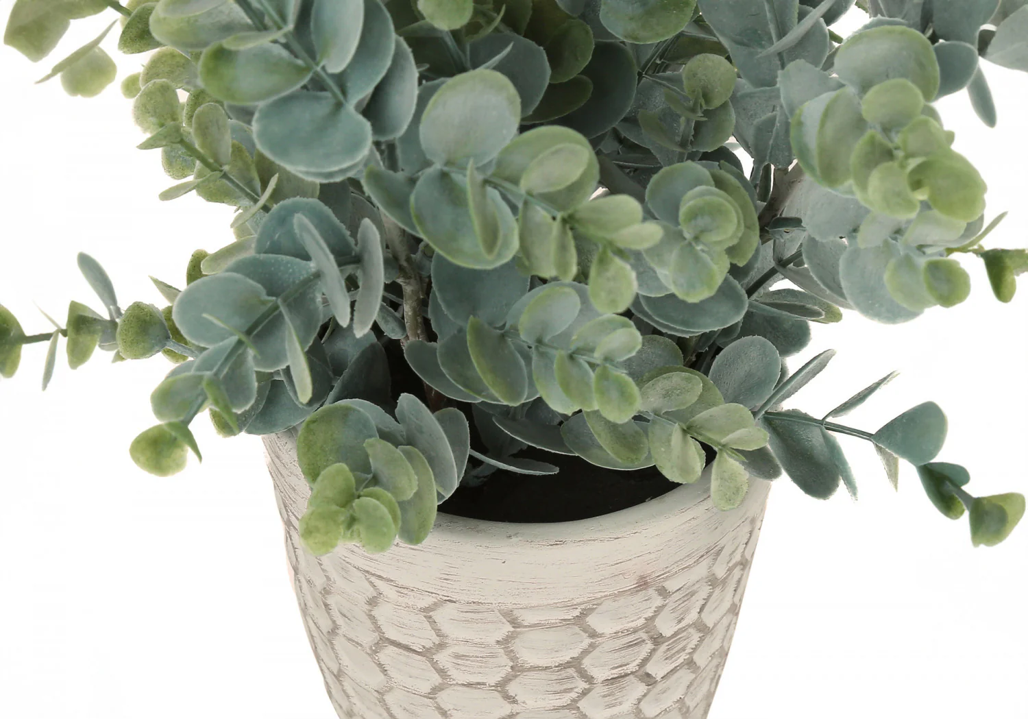 13" Eucalyptus Grass Plant With 4" White Pot - Green - Set of Two - Image 4
