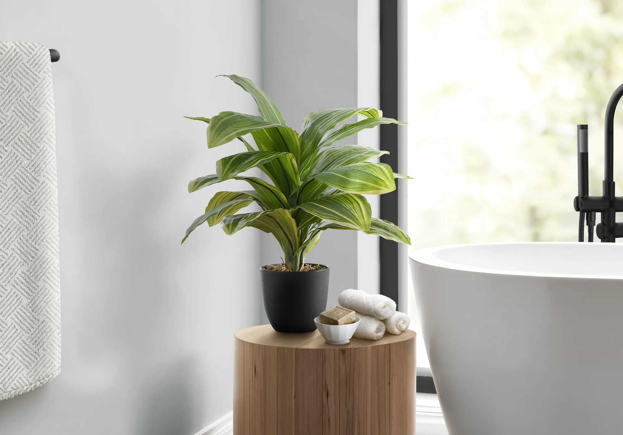 17" Dracaena Plant With 4" Black Pot - Green - Image 2