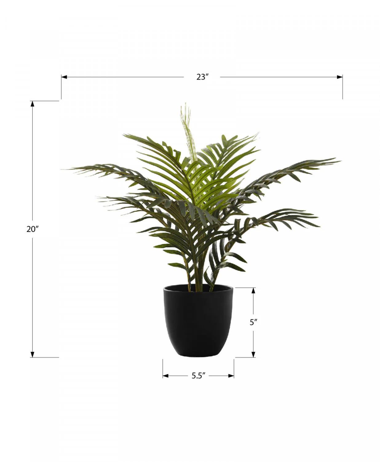 20" Palm Plant With 5" Black Pot - Green - Image 3