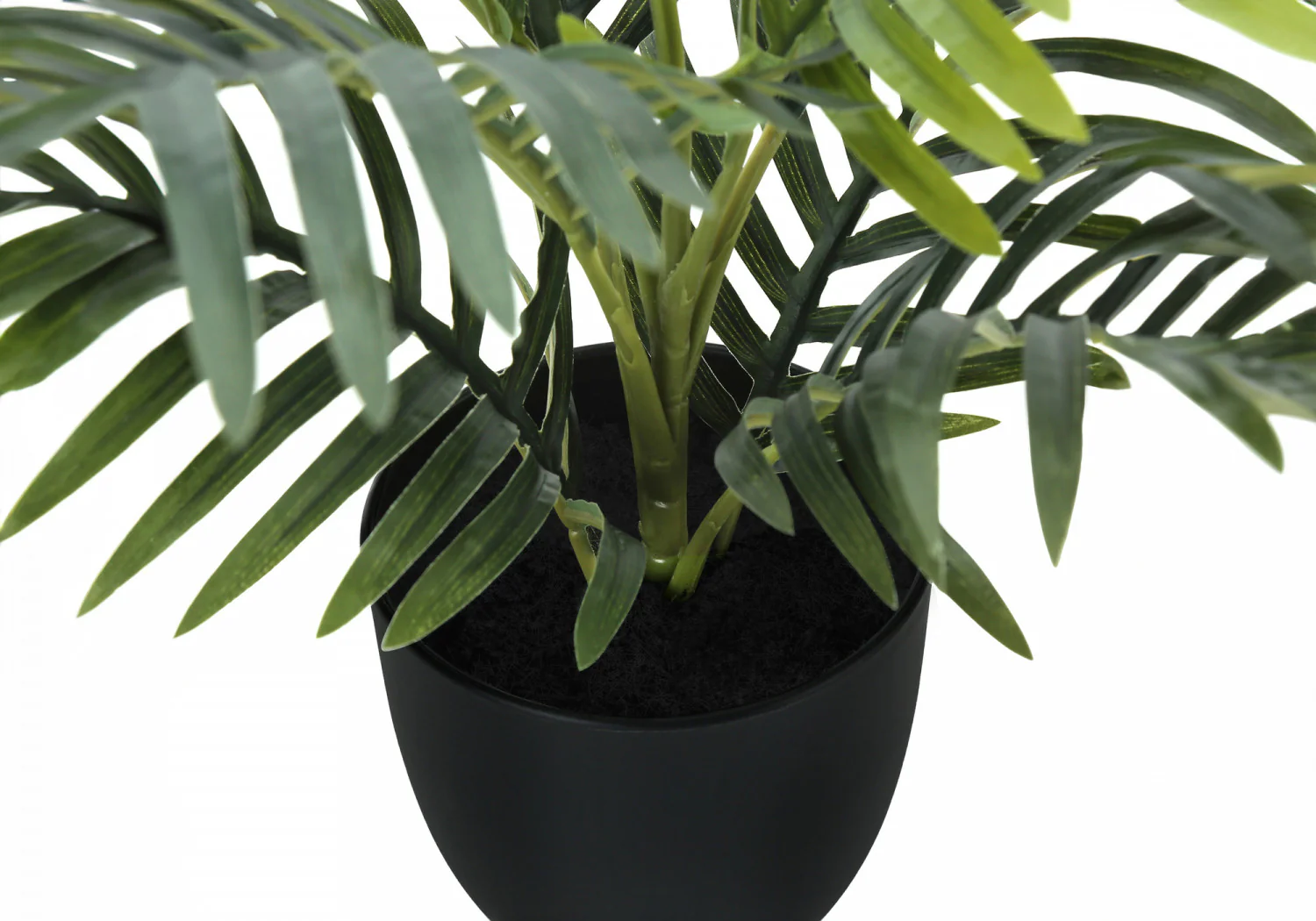 20" Palm Plant With 5" Black Pot - Green - Image 4