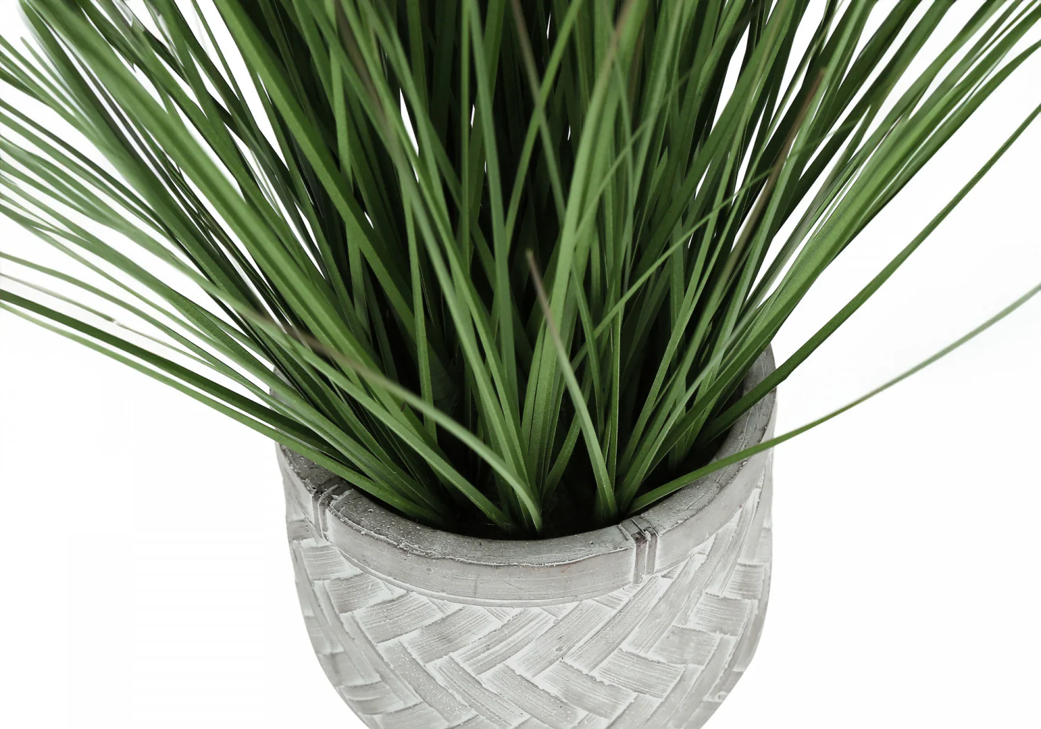 21" Grass Plant With 4" White Pot - Green - Image 4