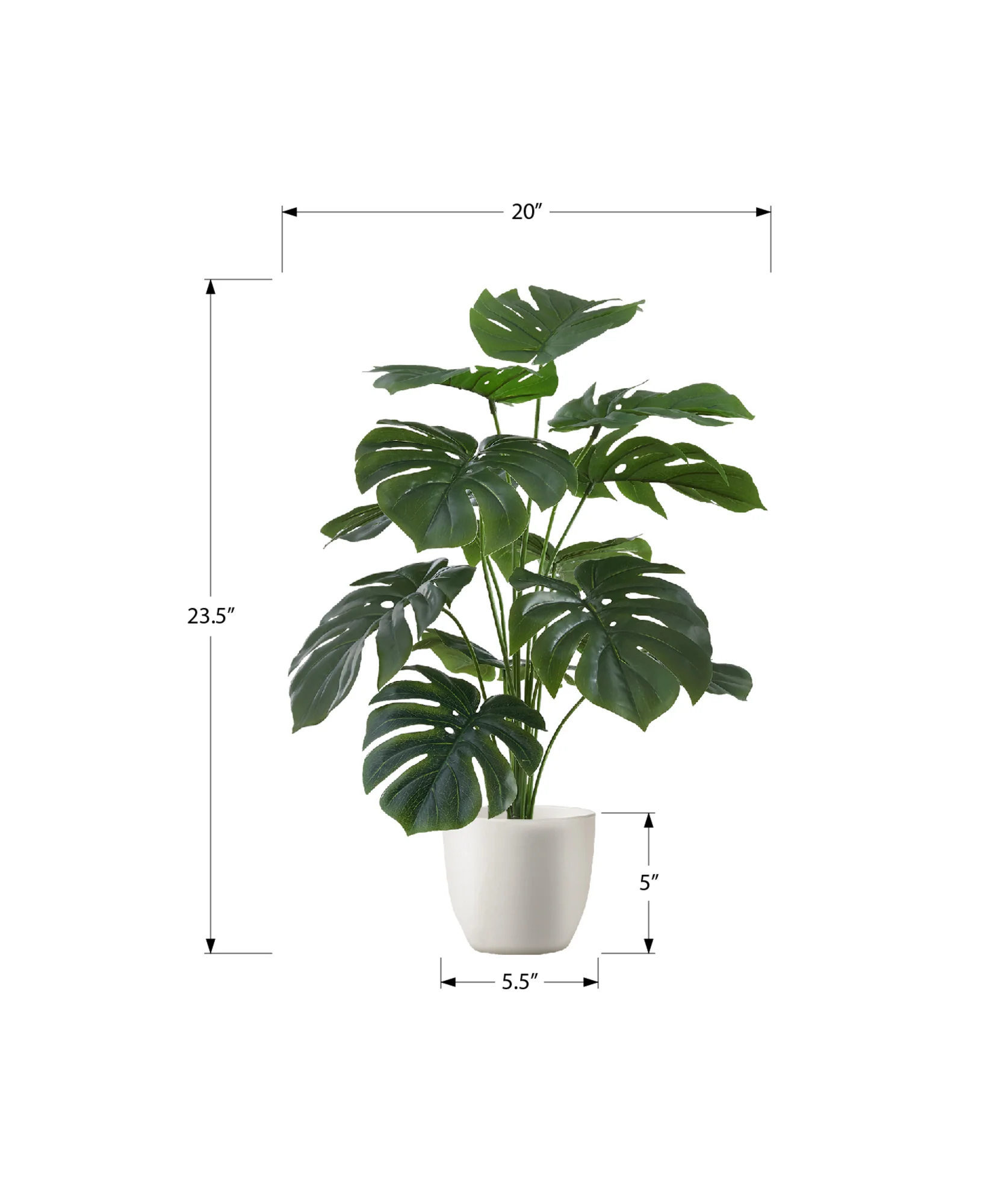 24" Monstera Plant with 5" White Pot - Green - Set of Two - Image 3