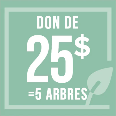$25 Donation = 5 trees - Image 2