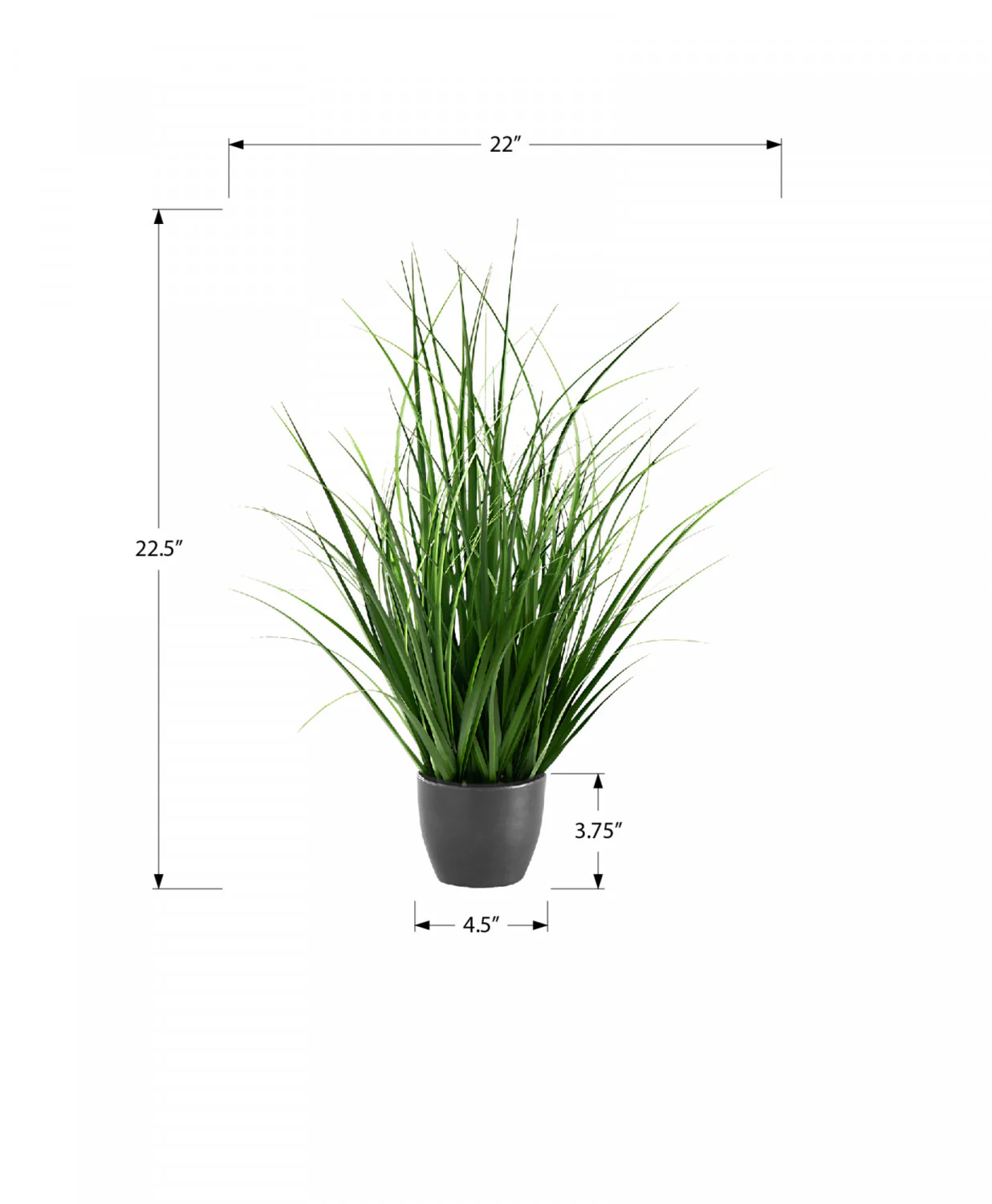 26" Grass Plant With 4" Black Pot - Green - Image 3