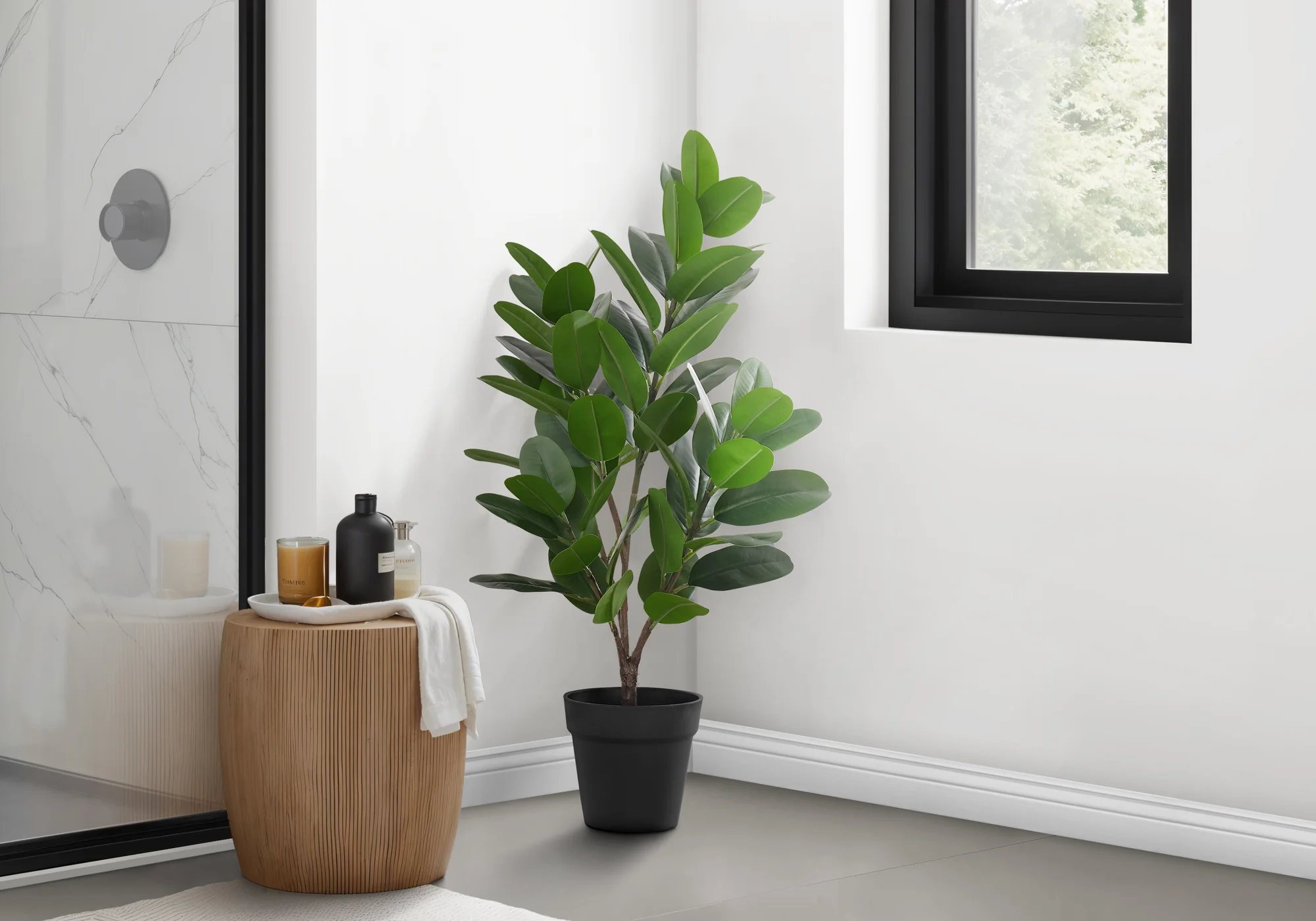 28" Garcinia Plant With 5" Black Pot - Green - Image 2
