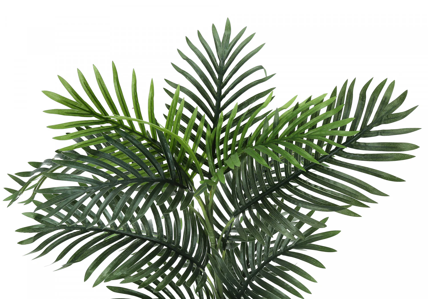 28" Palm Tree With 6" White Pot - Green - Image 6
