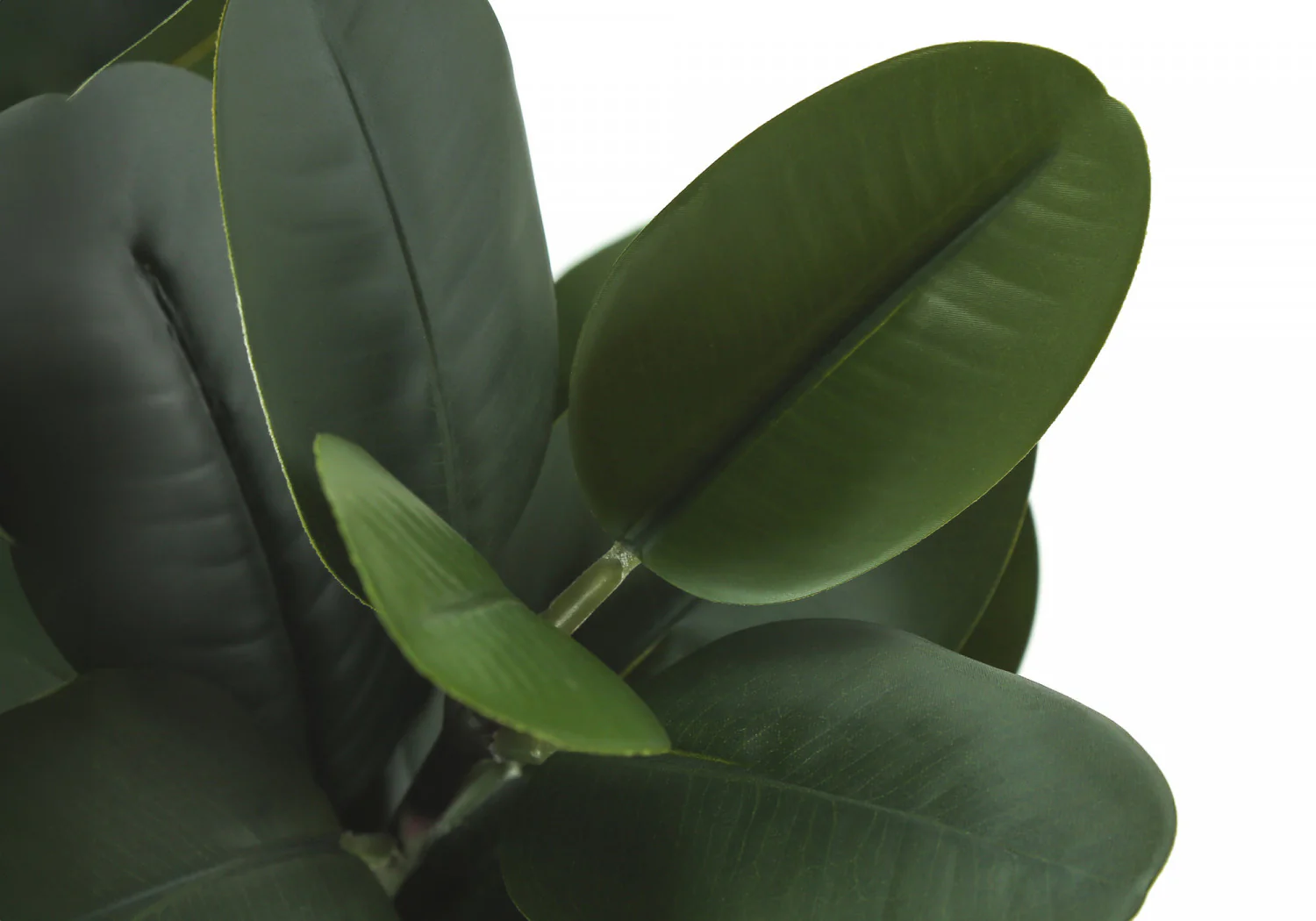 31" Garcinia Tree With 7" Marble-look Pot - Green - Image 5