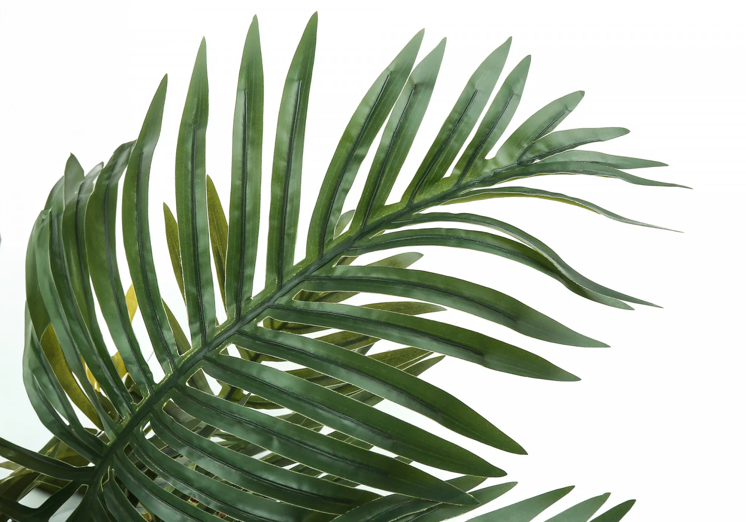 34" Palm Tree With 5" Black Pot - Green - Image 5