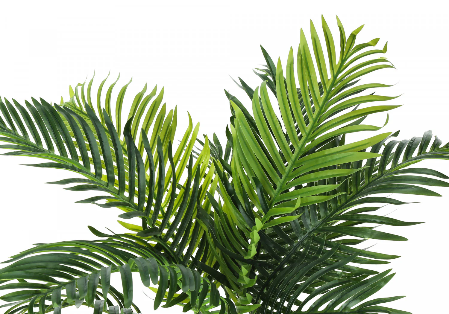 34" Palm Tree With 5" Black Pot - Green - Image 6
