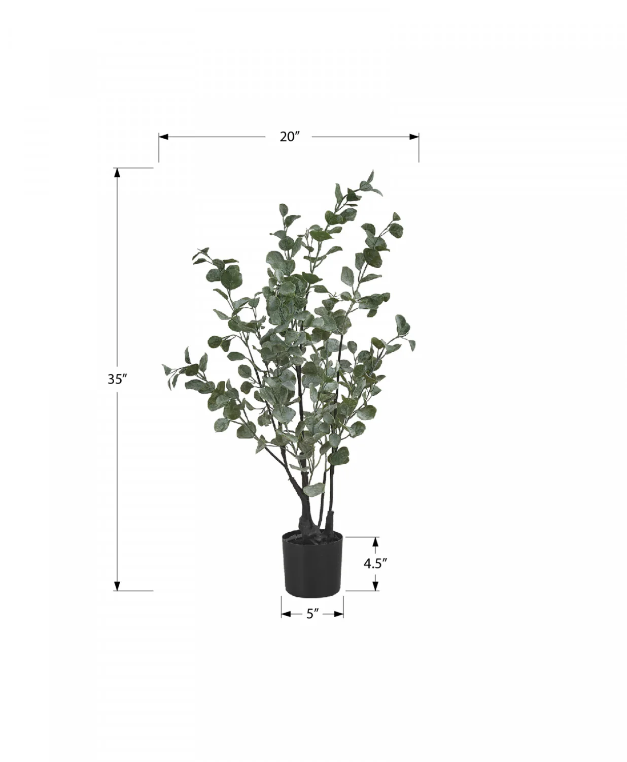 35" Eucalyptus Plant With 5" Black Pot - Green - Image 3
