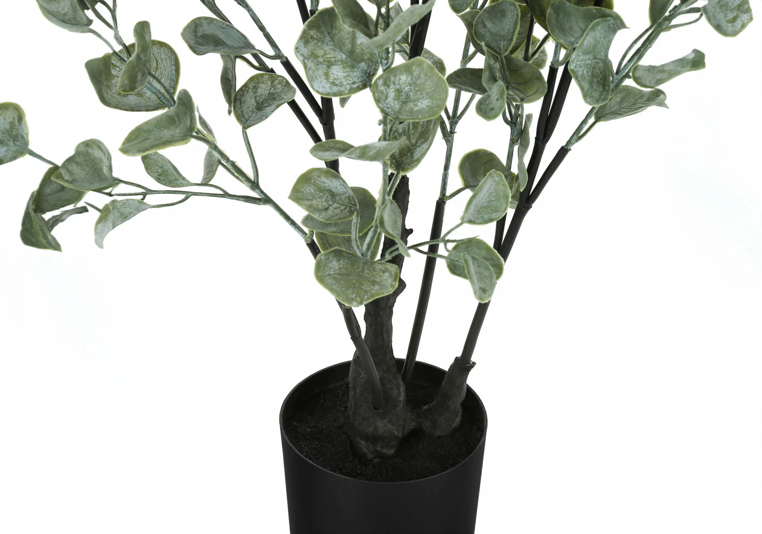 35" Eucalyptus Plant With 5" Black Pot - Green - Image 4