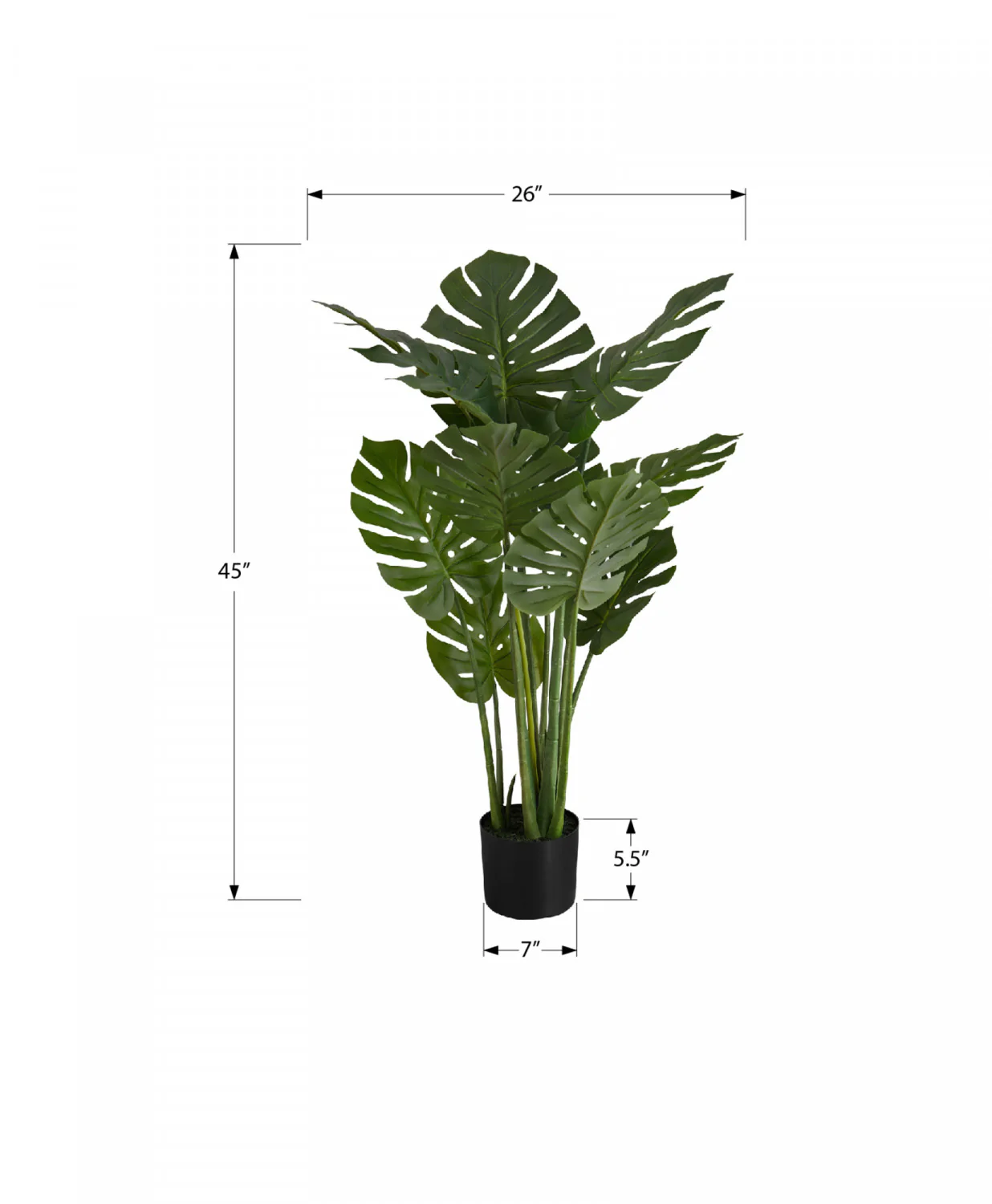 45" Monstera Plant With 6" Black Pot - Green - Image 3