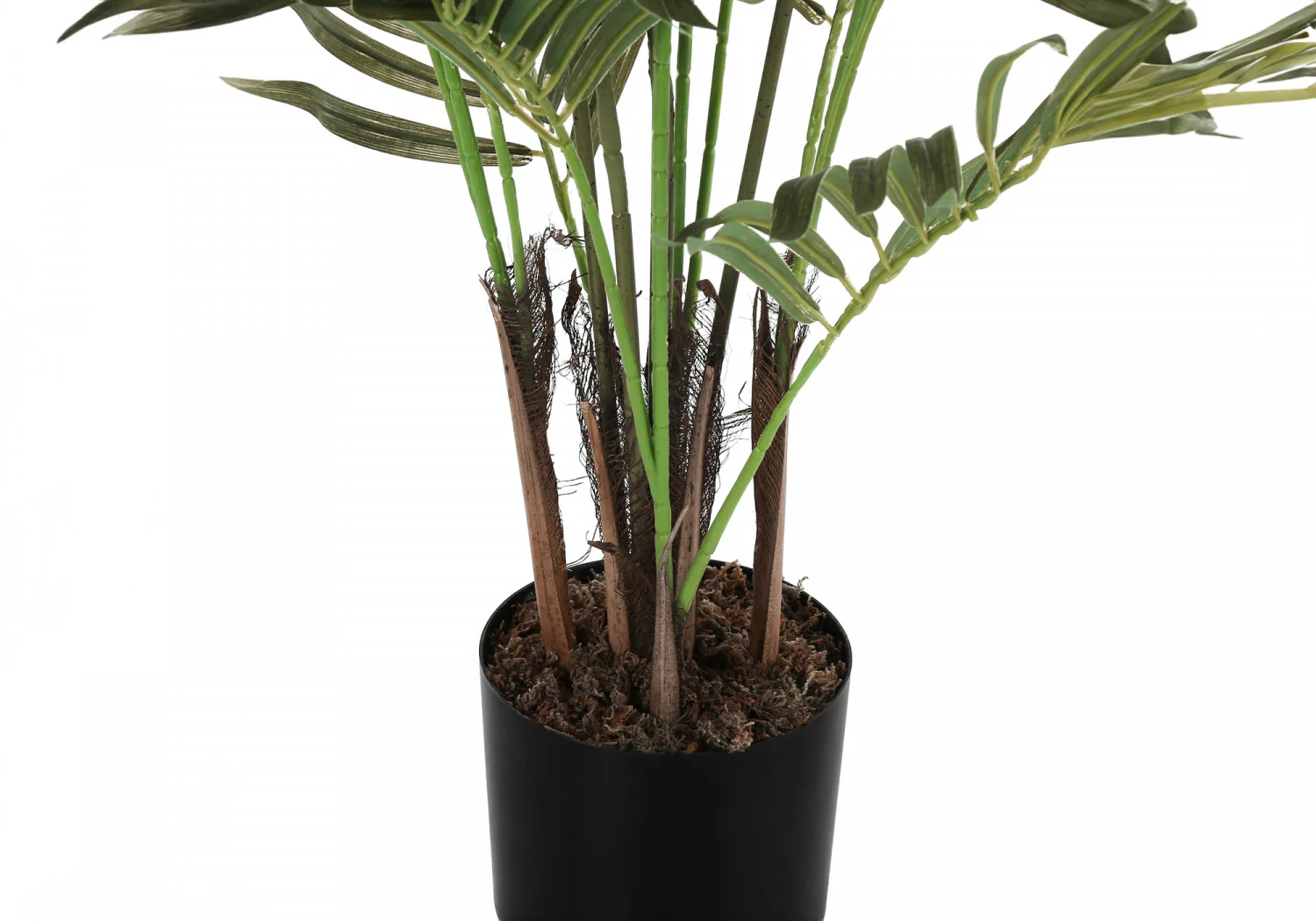 47" Areca Tree With 5" Black Pot - Green - Image 5