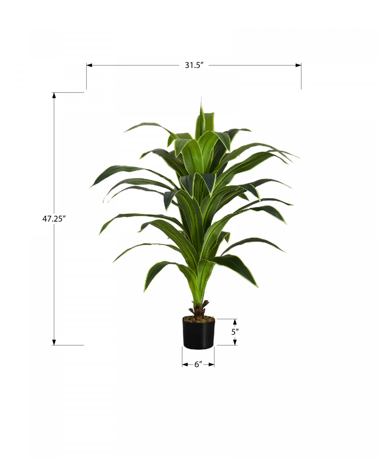 47" Dracaena Tree With 5" Black Pot - Green - Image 3