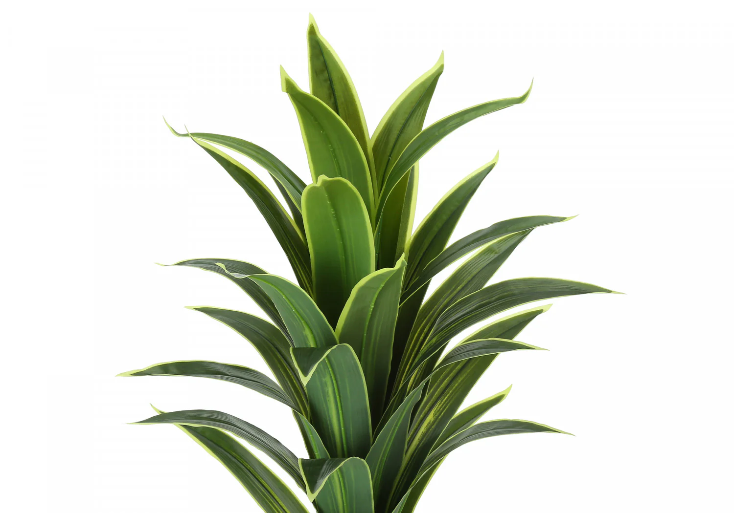 47" Dracaena Tree With 5" Black Pot - Green - Image 6
