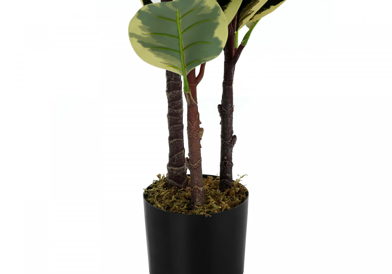 47" Oak Tree With 5" Black Pot - Green - Image 4