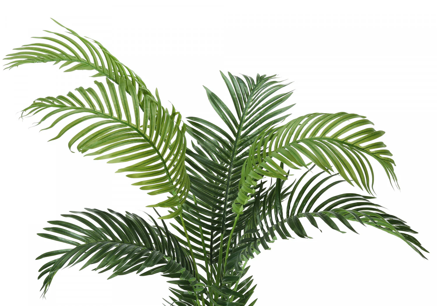 47" Palm Tree With 5" Black Pot - Green - Image 6