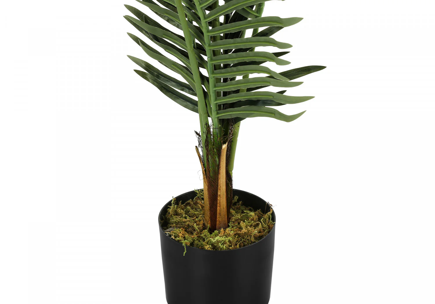 47" Palm Tree With 6" Black Pot - Green - Image 4