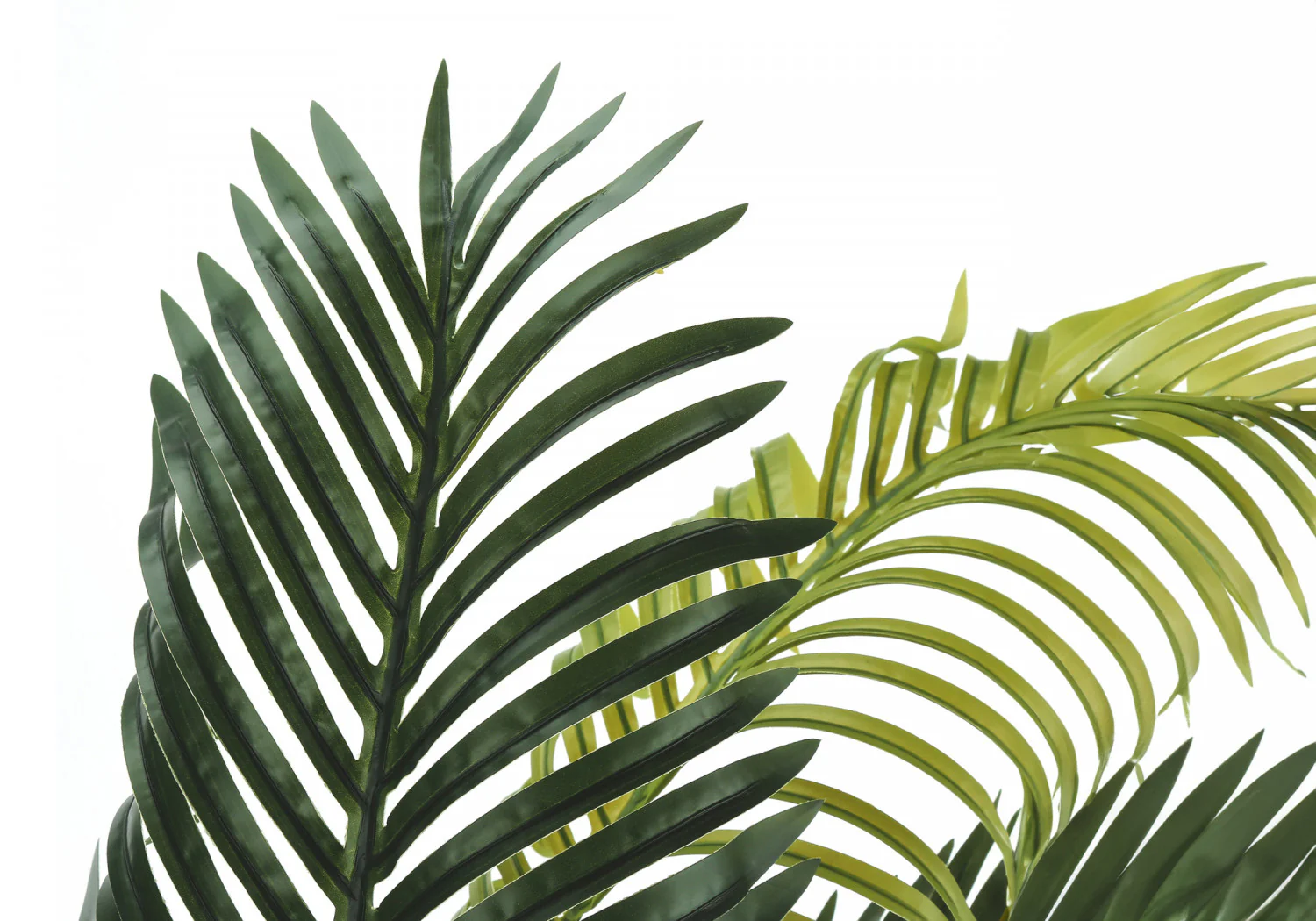 47" Palm Tree With 6" Black Pot - Green - Image 5