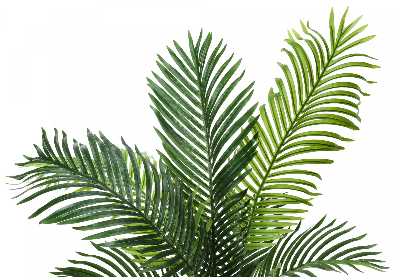 47" Palm Tree With 6" Black Pot - Green - Image 6