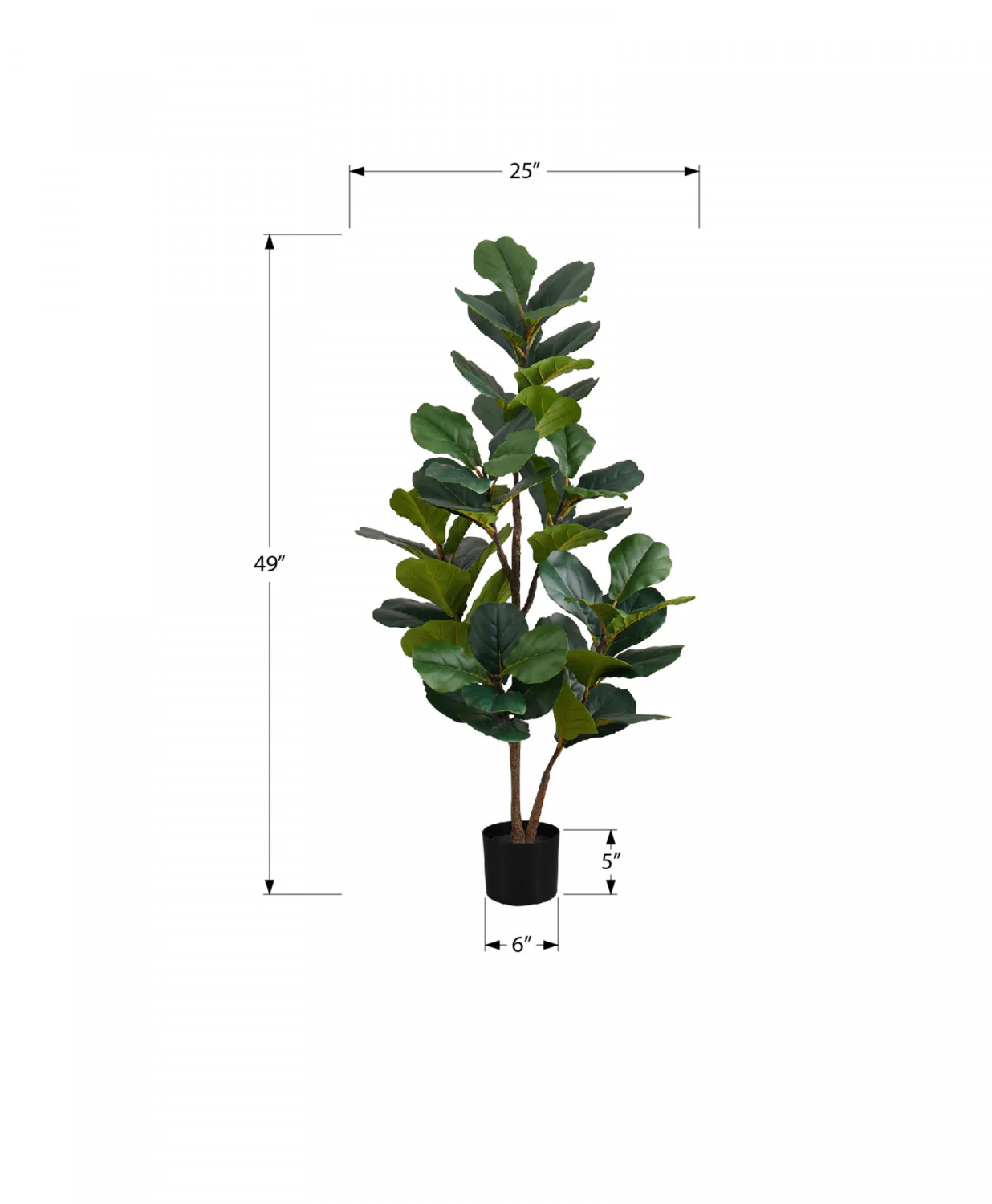 49" Fiddle Tree With 5" Black Pot - Green - Image 3