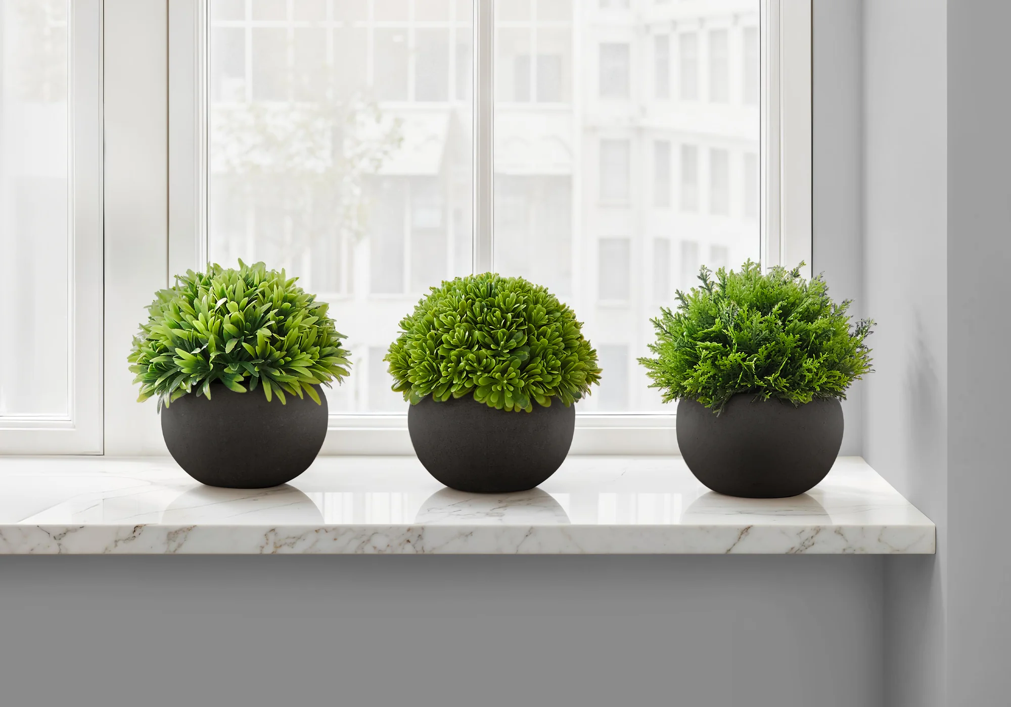 5" Succulent Plant with Black Pot - Green - Set of 3 - Image 2