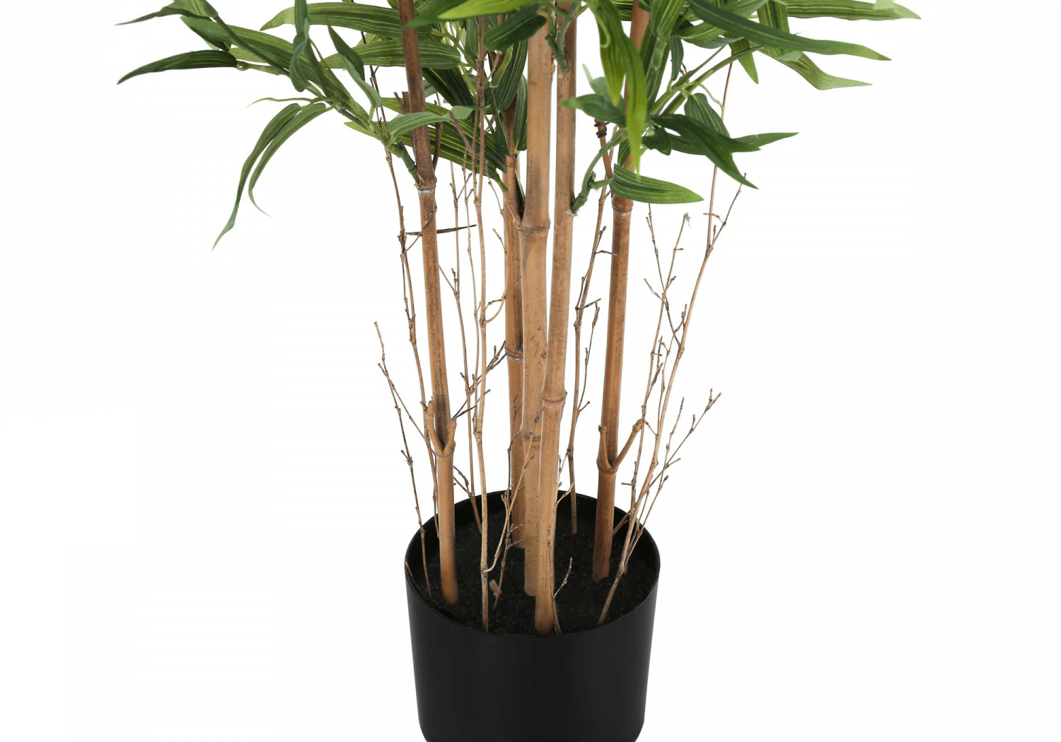 50" Bamboo Tree With 5" Black Pot - Green - Image 4