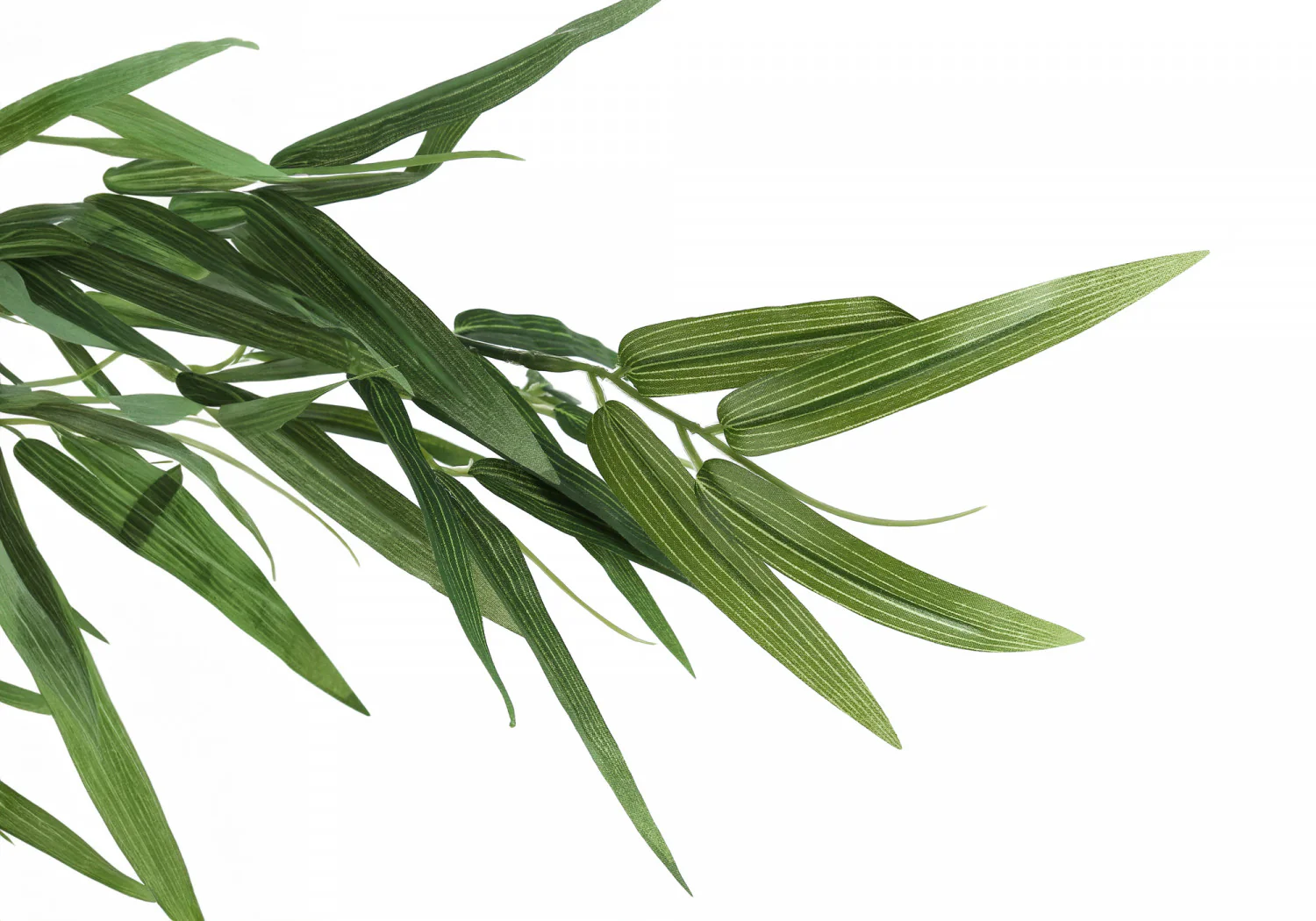 50" Bamboo Tree With 5" Black Pot - Green - Image 5