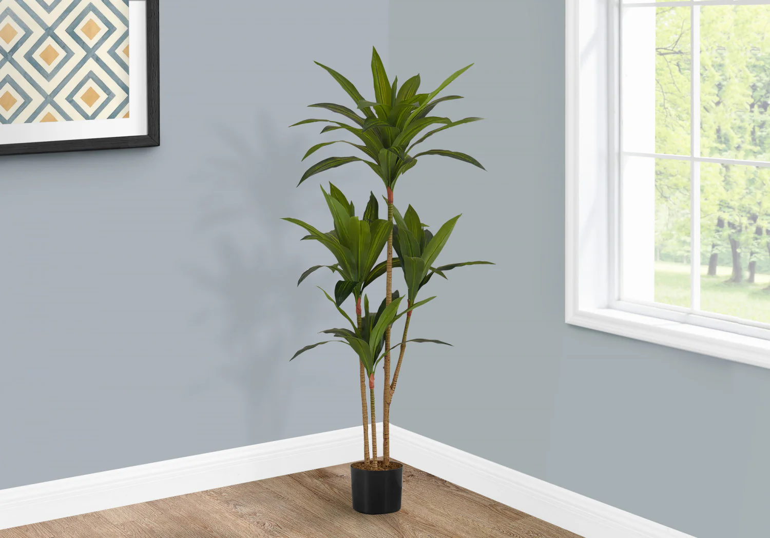 51" Dracaena Plant With 5" Black Pot - Green - Image 2