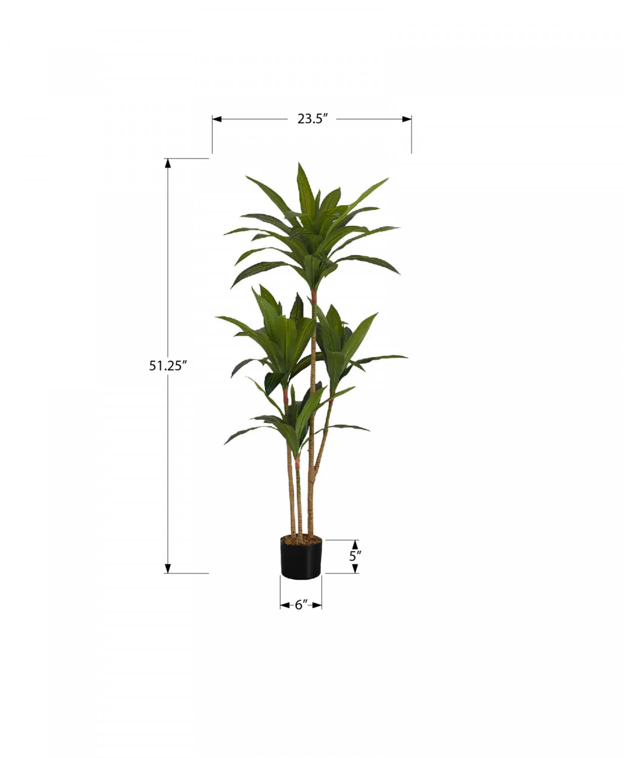 51" Dracaena Plant With 5" Black Pot - Green - Image 3