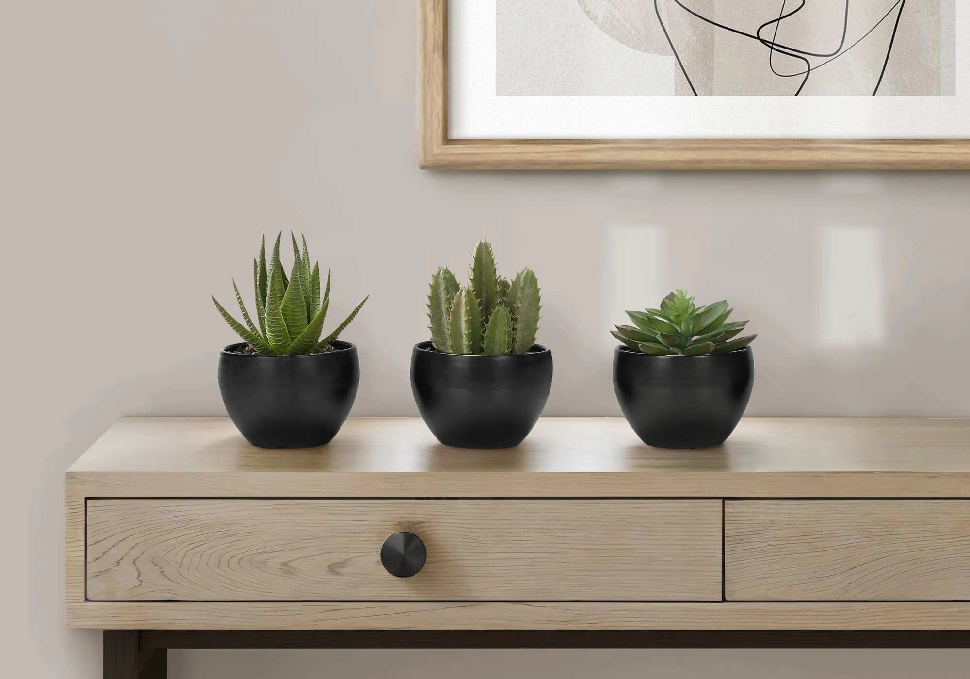 6" Succulent Plant with Black Pot - Green - Set of 3 - Image 2