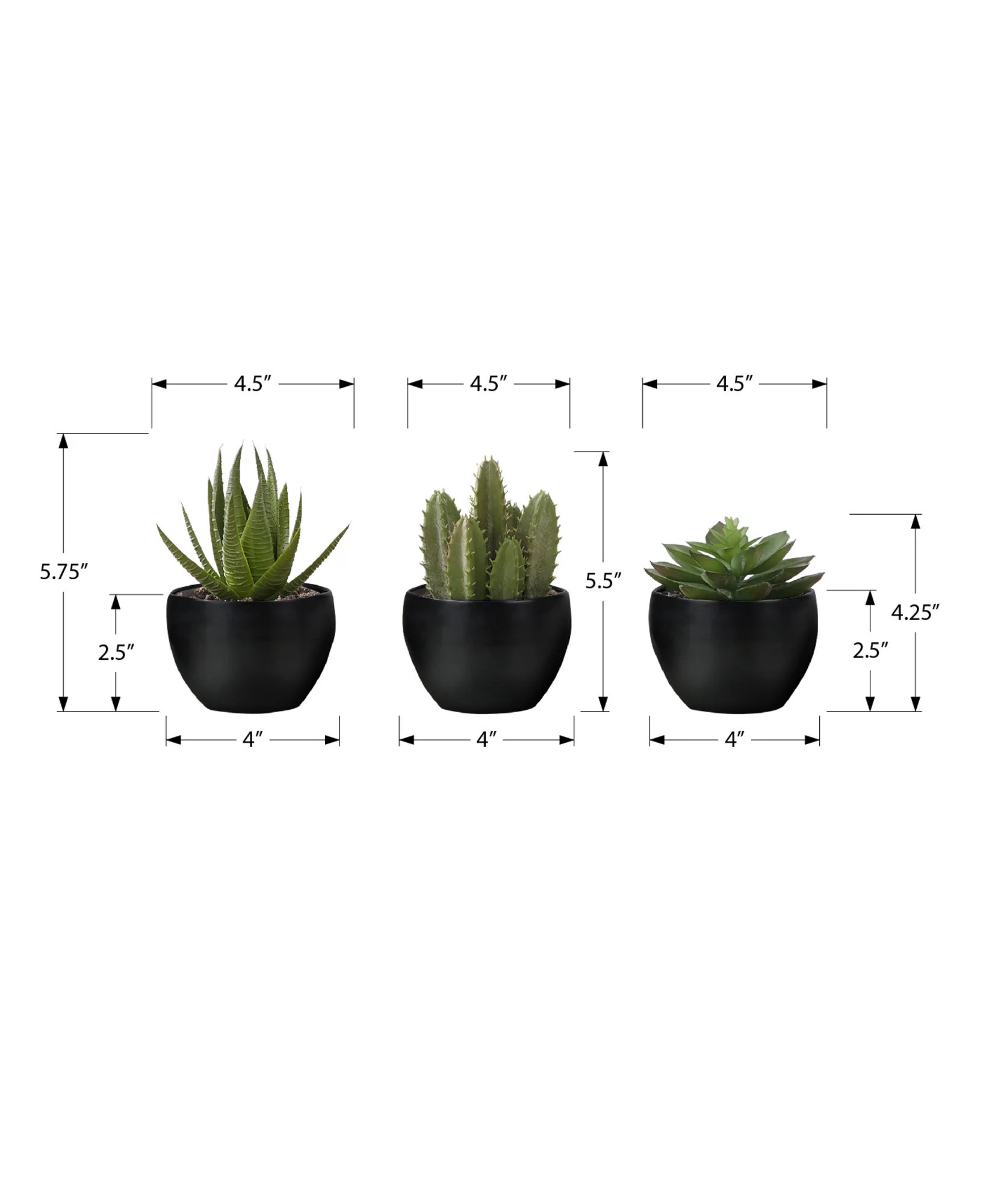 6" Succulent Plant with Black Pot - Green - Set of 3 - Image 3