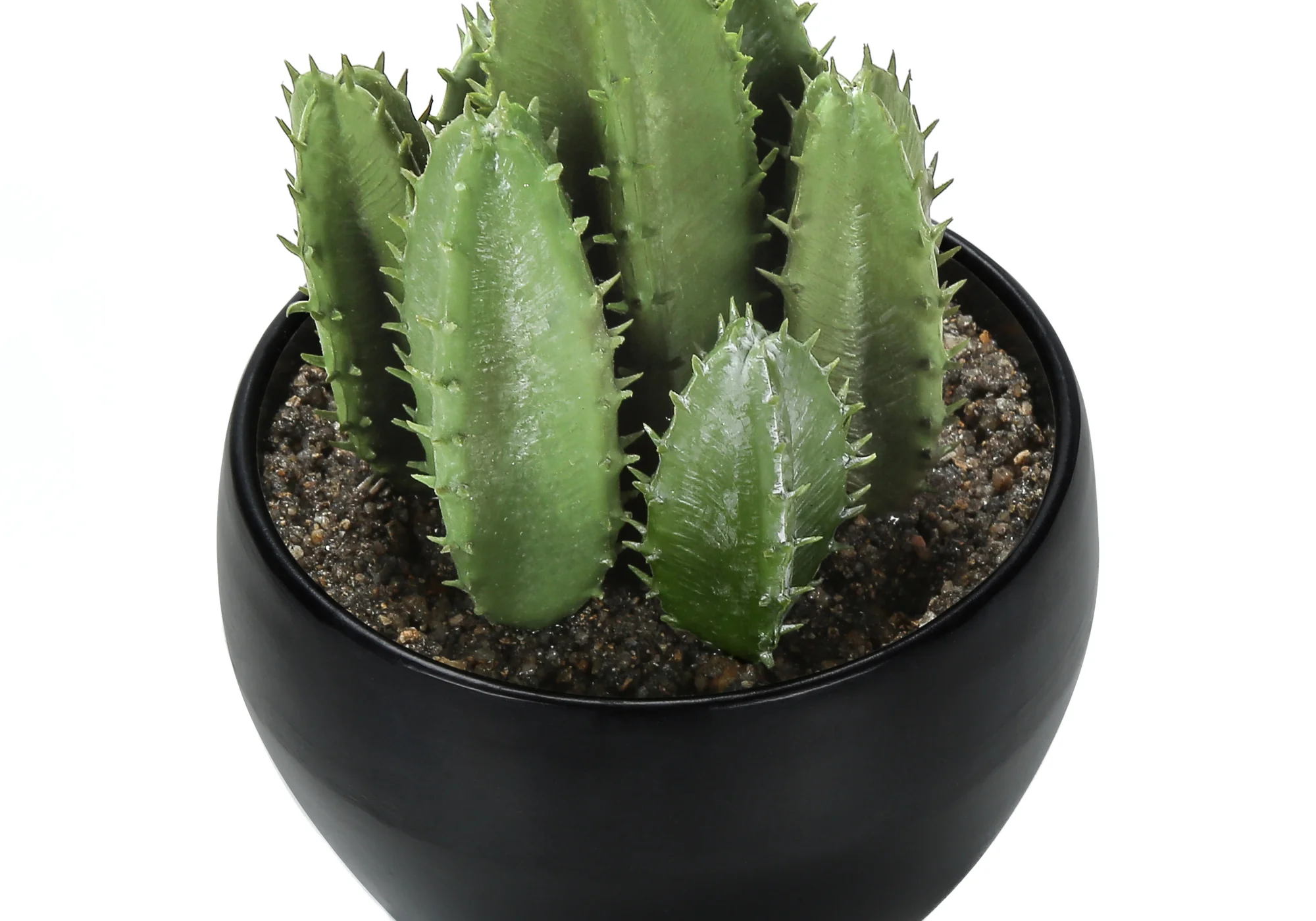 6" Succulent Plant with Black Pot - Green - Set of 3 - Image 4