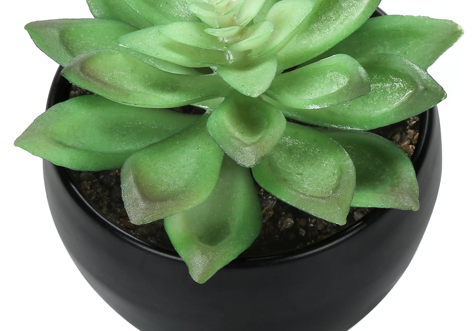 6" Succulent Plant with Black Pot - Green - Set of 3 - Image 5