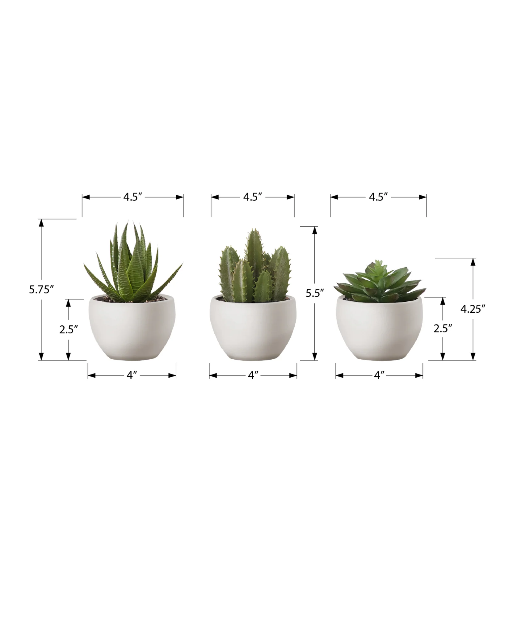 6" Succulent Plant with White Pot - Green - Set of 3 - Image 3