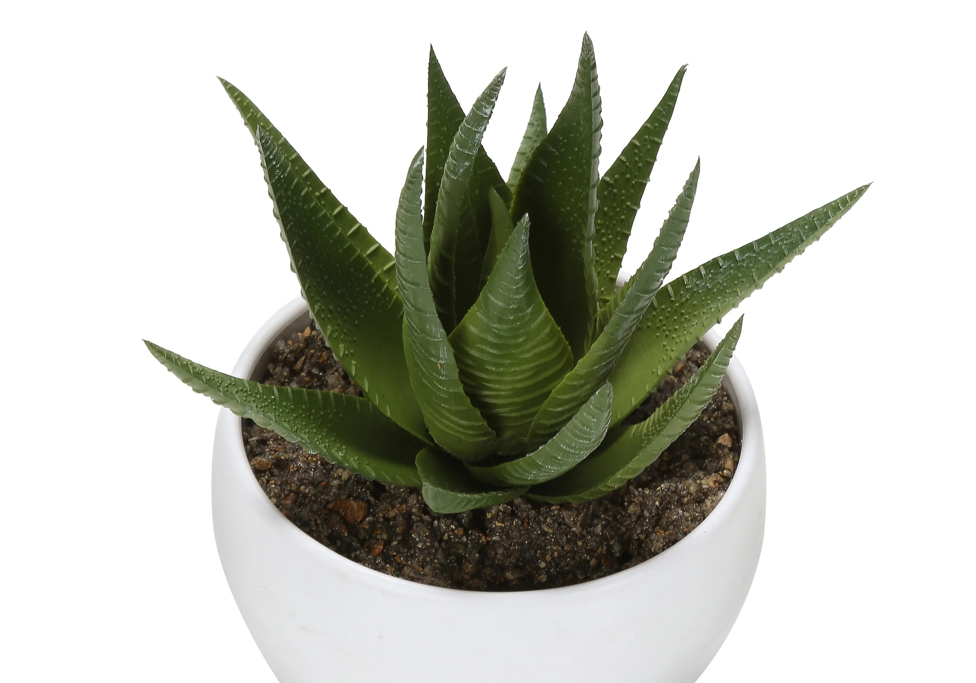 6" Succulent Plant with White Pot - Green - Set of 3 - Image 6