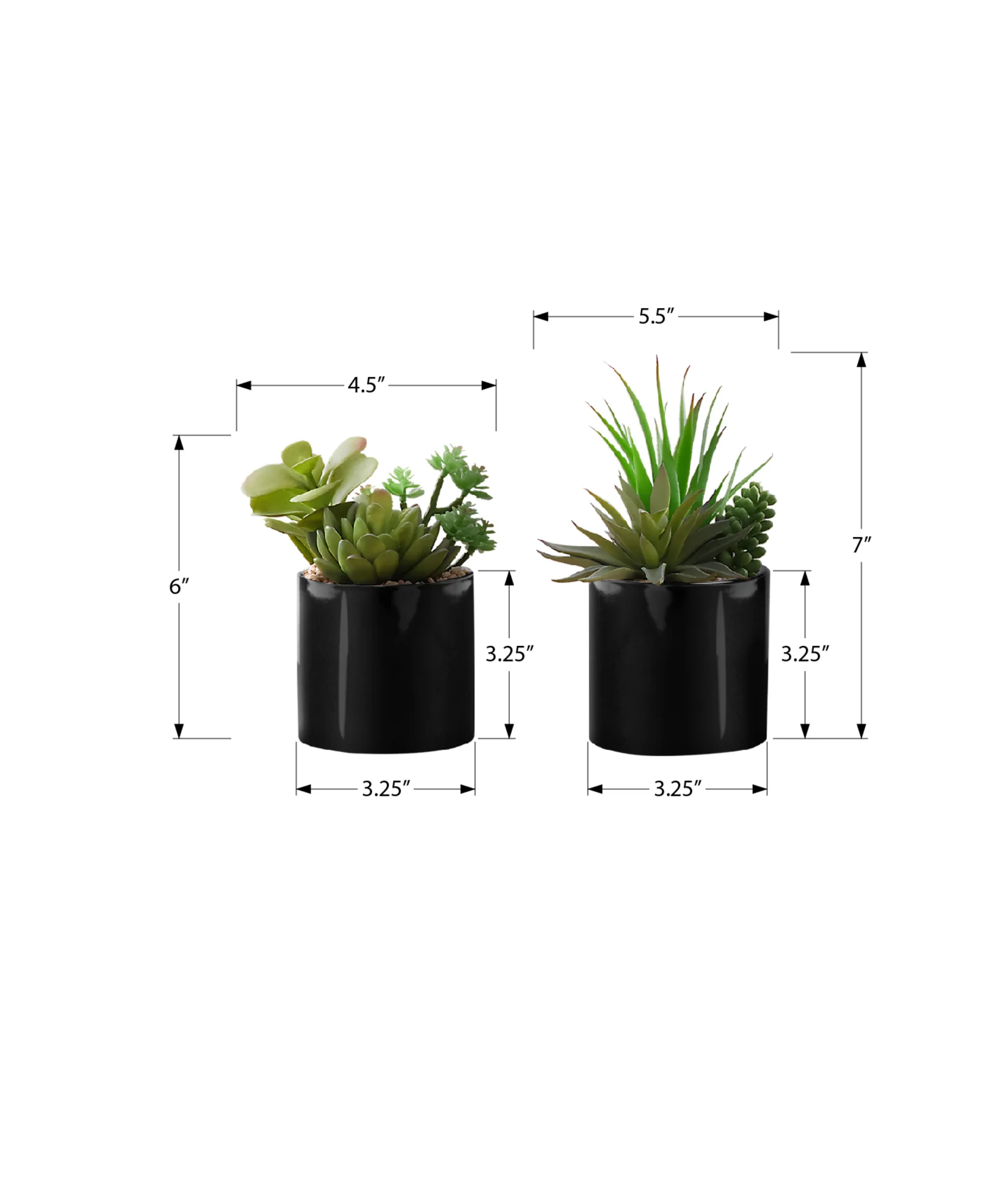 7" Succulent Plant with 3" Black Pot - Green - Set of 2 - Image 3