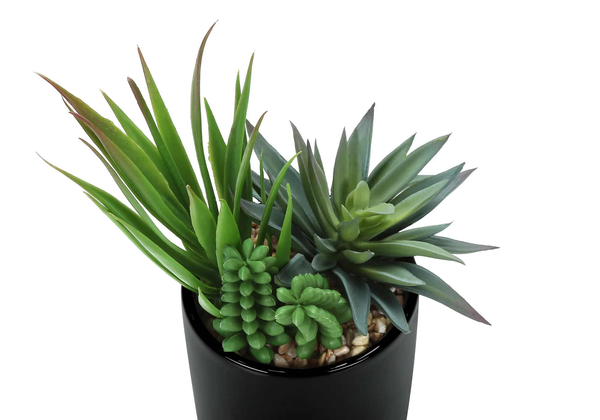 7" Succulent Plant with 3" Black Pot - Green - Set of 2 - Image 4