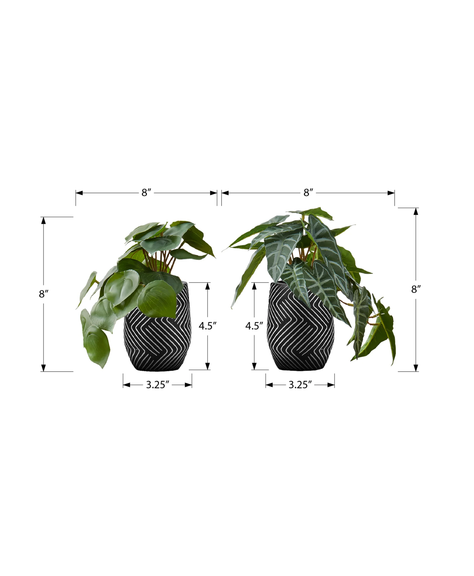 8" Eucalyptus and Grass Plants with 5" Black Pot - Green - Set of Two - Image 3