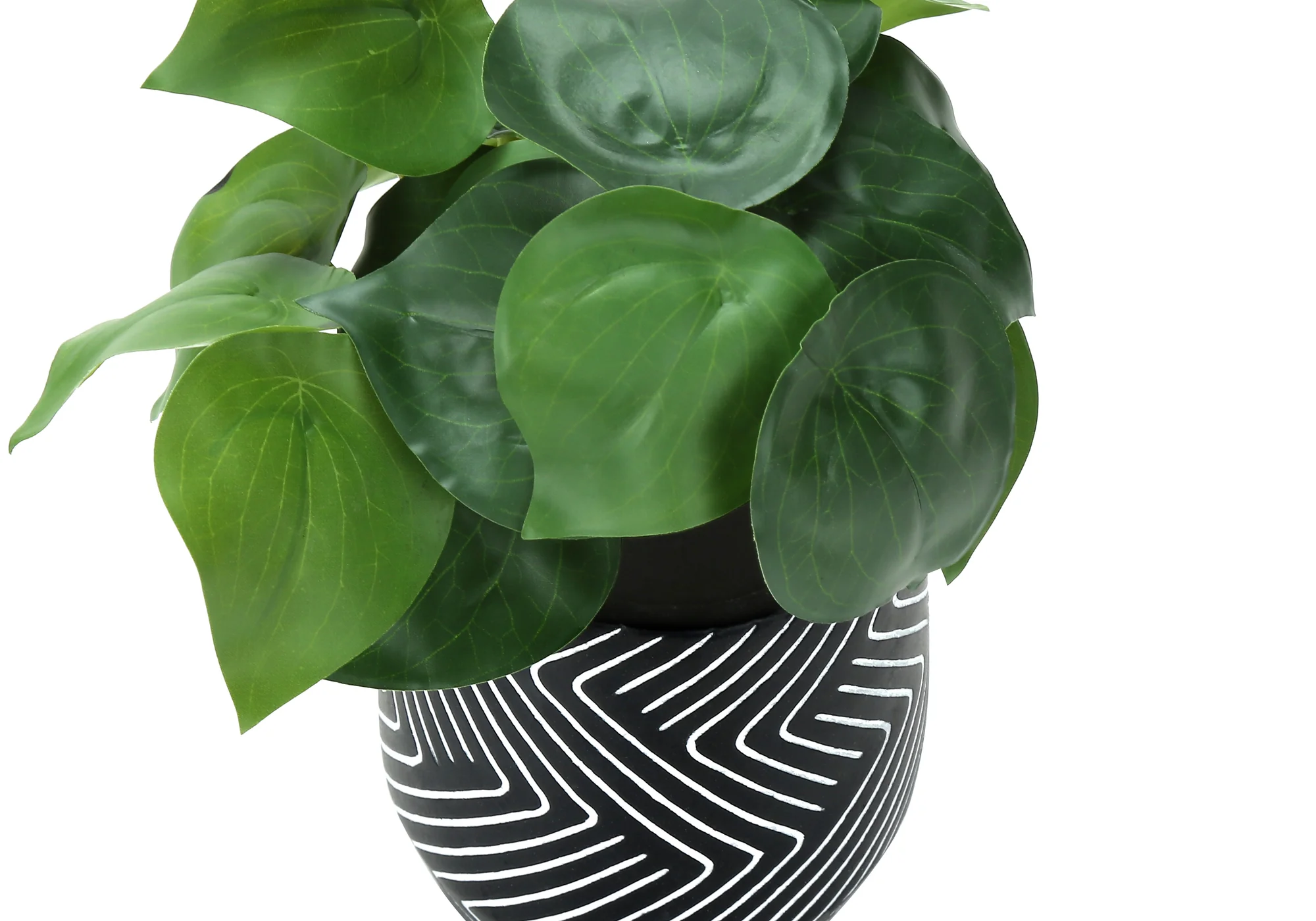 8" Eucalyptus and Grass Plants with 5" Black Pot - Green - Set of Two - Image 4