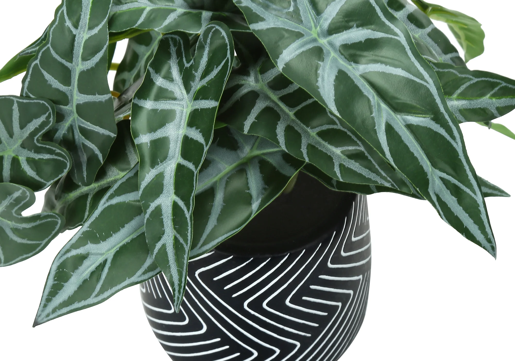 8" Eucalyptus and Grass Plants with 5" Black Pot - Green - Set of Two - Image 5