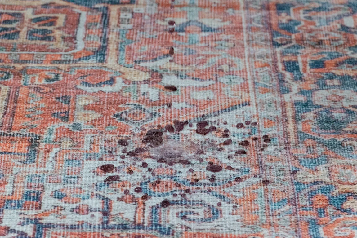 Aura Traditional Rug - 5' x 7' - Red/Blue - Image 5