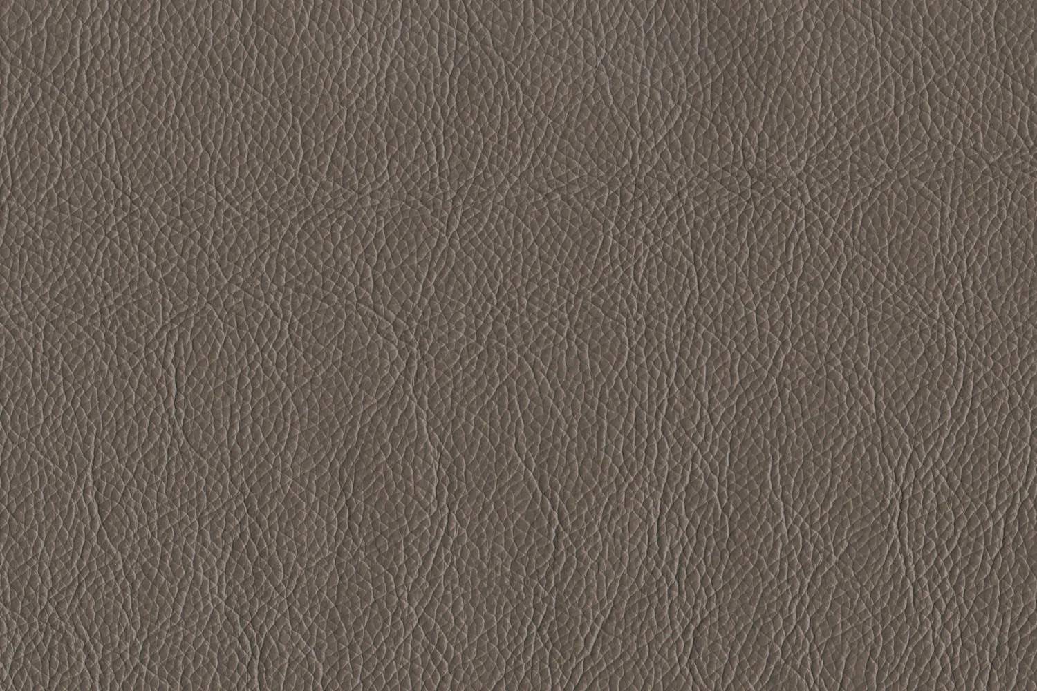 Braylon Leather Sofa - African Grey - Image 4