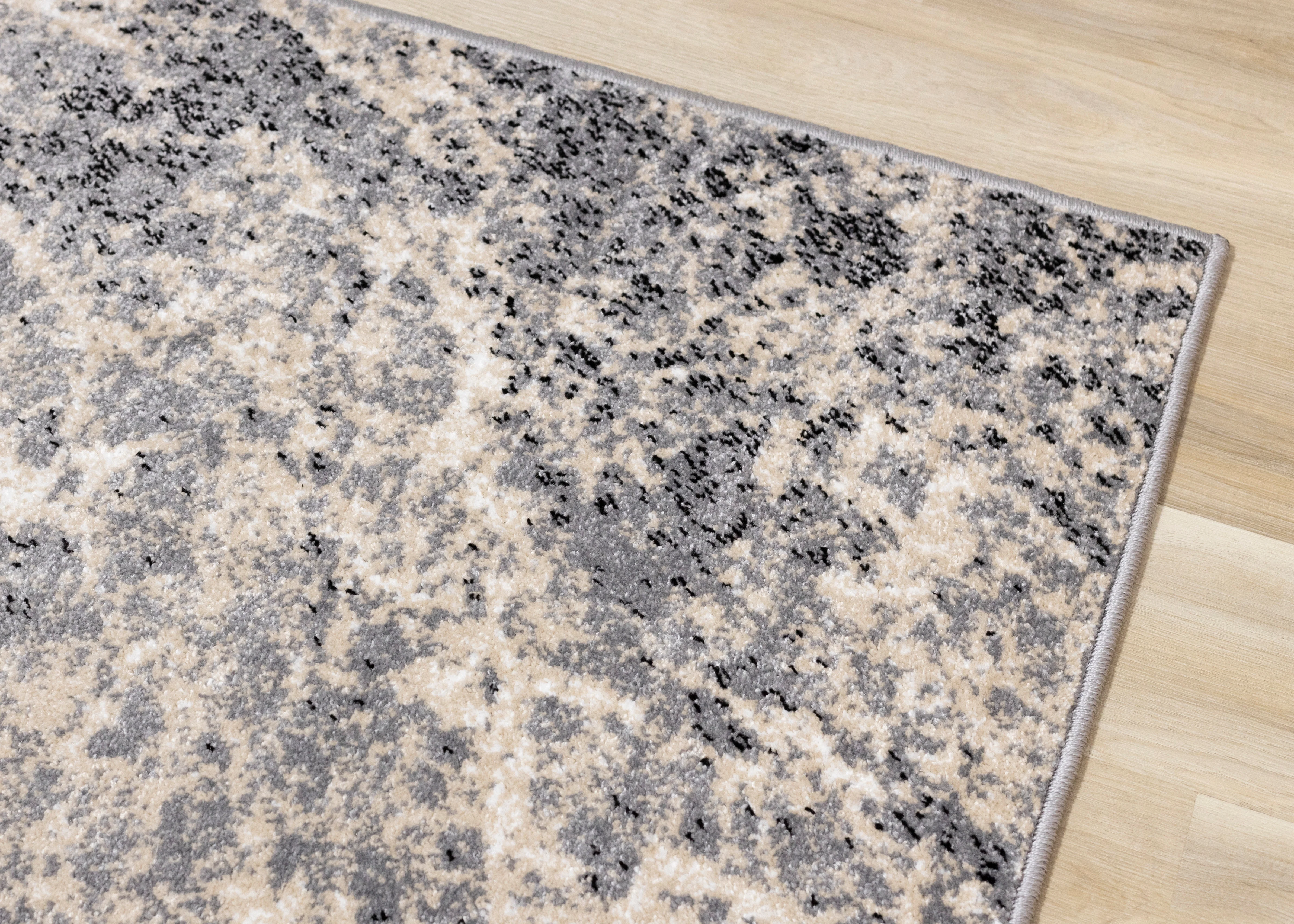 Century 5'3" x 7'7" Area Rug - Cream & Beige - Image 5