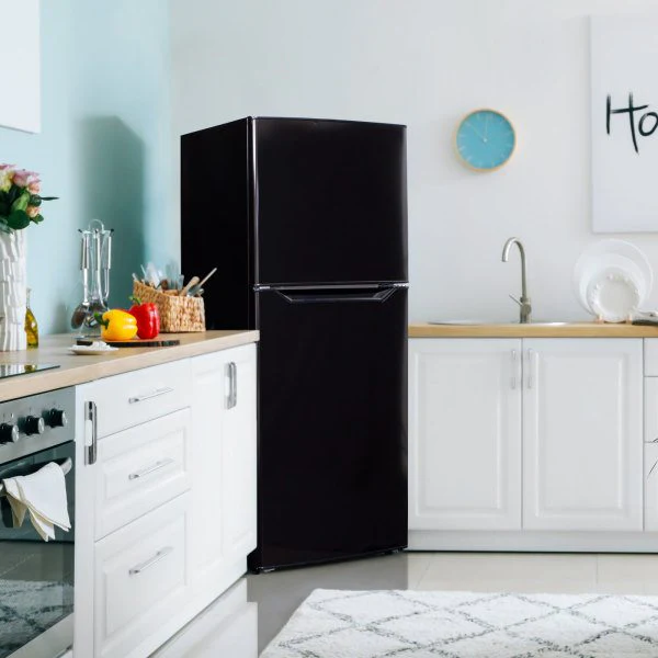 Danby 23.5" 10.1 Cu. Ft. Black Top-Freezer Refrigerator - DFF101B1BDB - Image 7
