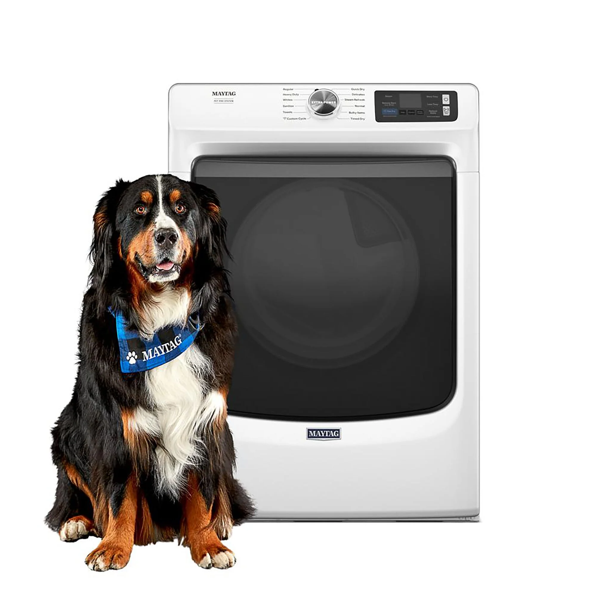 Maytag White Gas Dryer with Pet Pro (7.4 Cu.Ft.) - MGD7020RW - Image 2